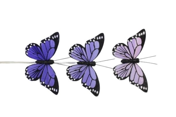 Federn-Schmetterlingstecker