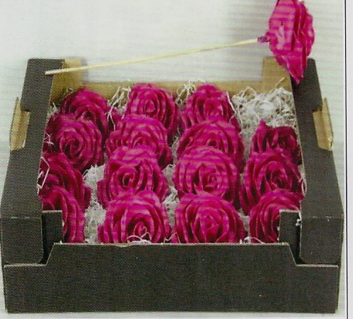 Wachsrosen pink